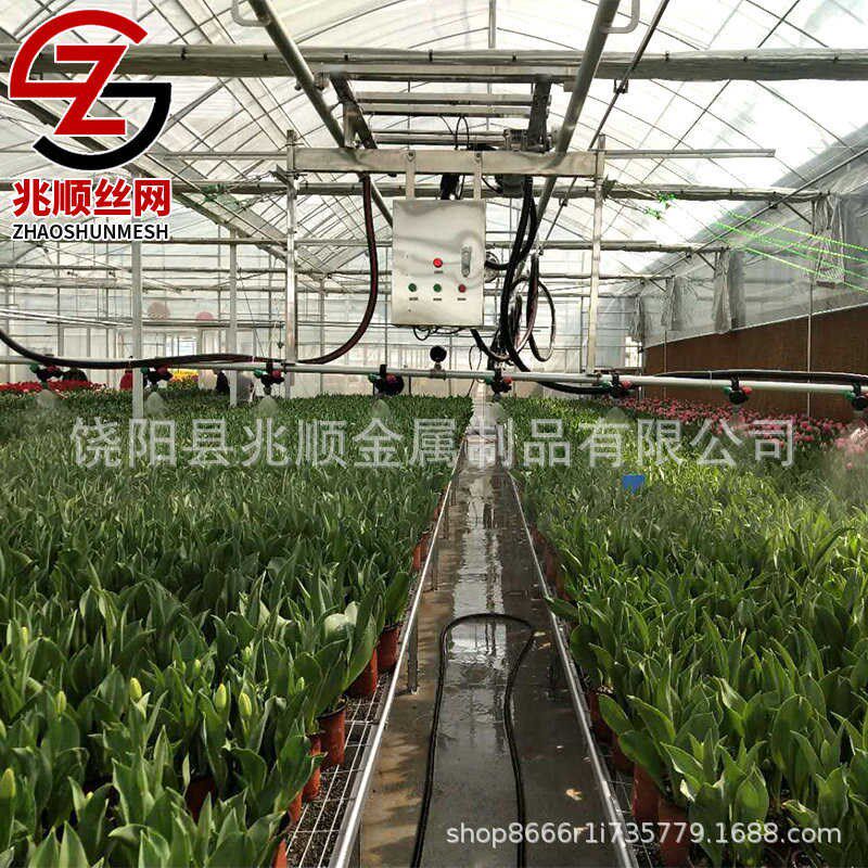 温室移动b喷灌车大棚双轨育苗自动喷灌机苗床喷淋系统喷灌水车厂