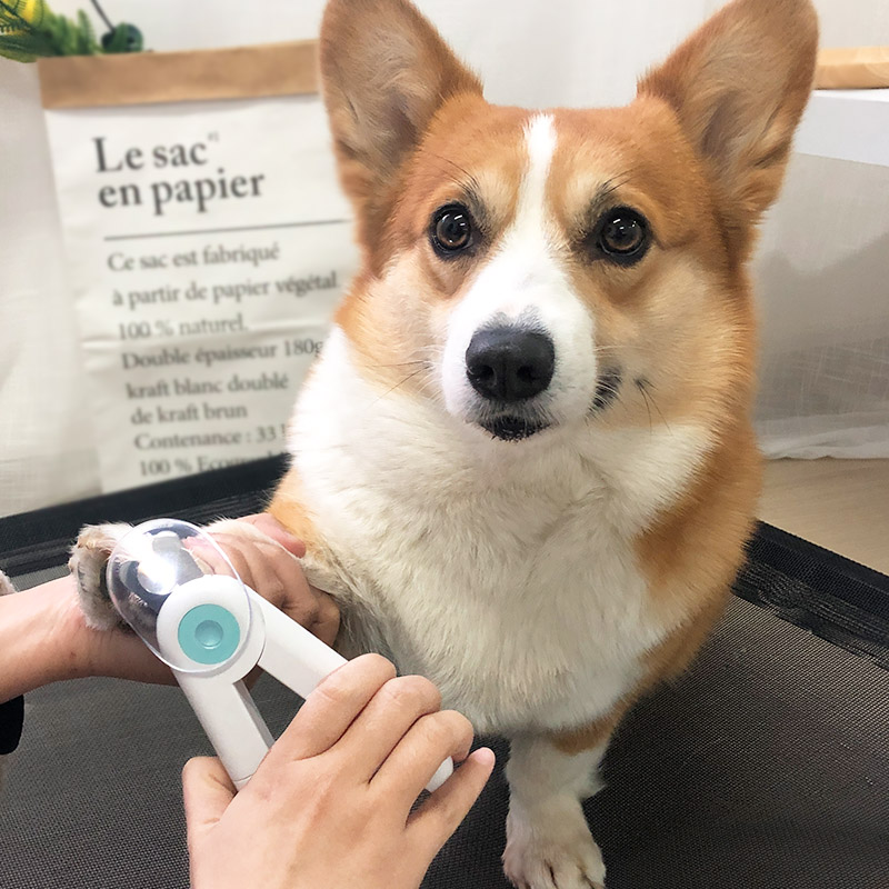 狗狗指甲钳剪指甲发光指甲刀宠物用品犬用带灯血线小W型犬泰迪柯