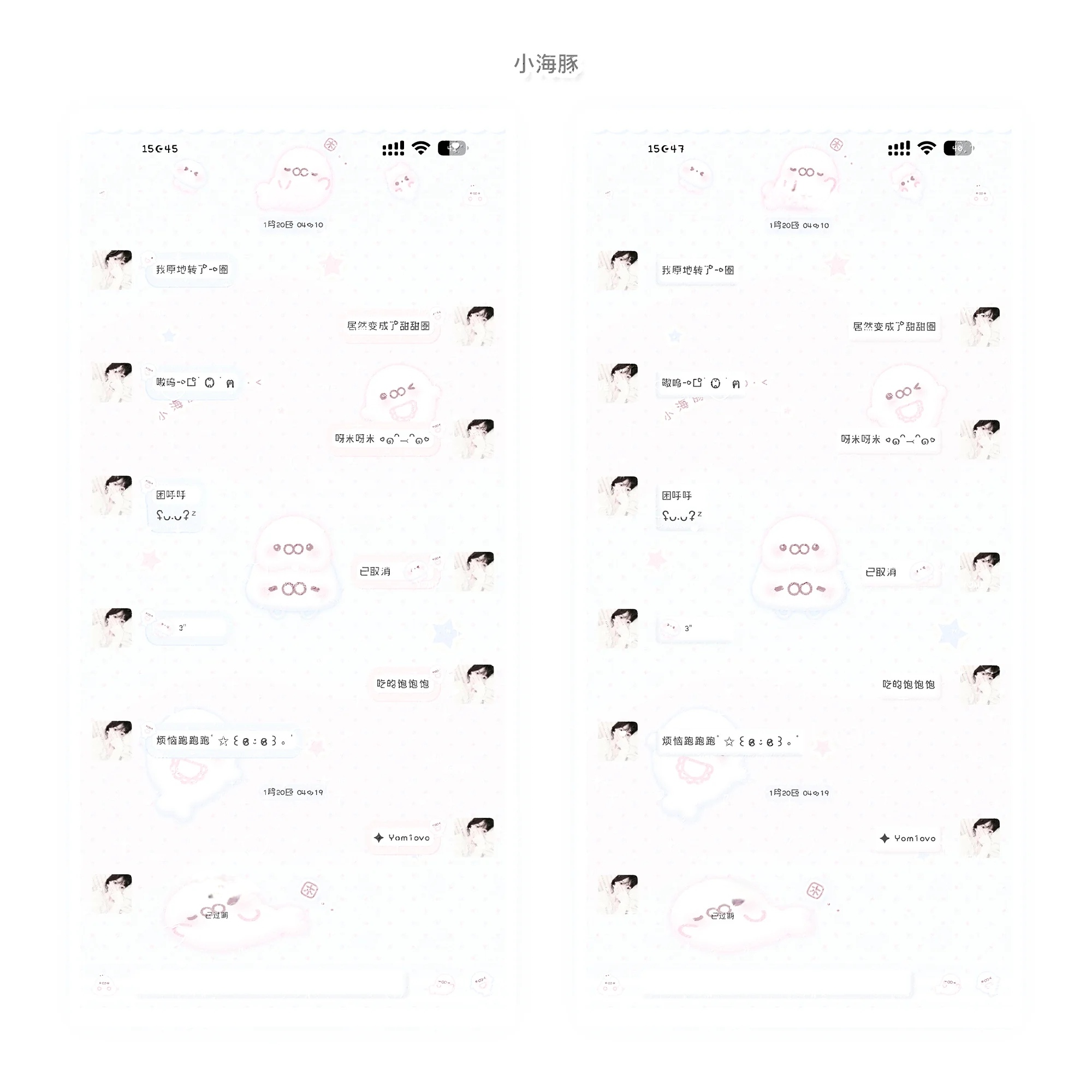 空投「小海豚」Themepro主题双气泡双键盘 ios定制v主题 卷码发货