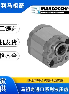 马祖奇油泵MARZOCCHI齿轮泵0.5D1.00C 0.25D18 1PD3.3 1PD5液压泵