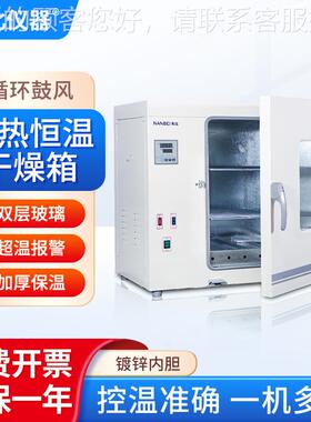 电热恒温干燥箱FX型实验室工业烘箱烤箱电热鼓风干燥箱