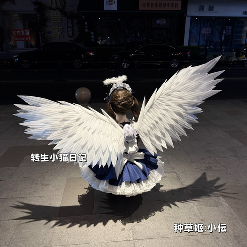 【6.0Pro·灵动版】电动翅膀 cos道具天使之翼 转生小猫日记