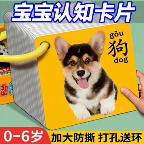 动物卡片早教认知启蒙识字玩具