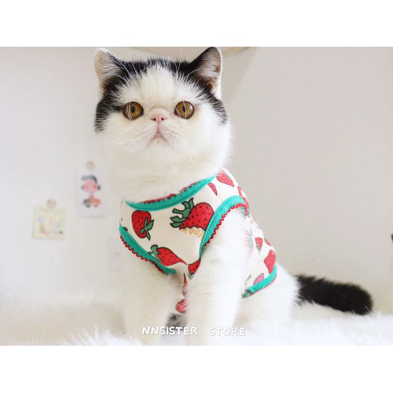 精致の小草莓薄绒背心 可爱小奶猫咪衣服秋冬ins加绒保暖狗狗卫衣