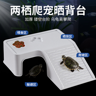两栖乌龟爬宠晒背台躲避窝喂食槽爬坡晒背四合一生态龟缸造景爬台
