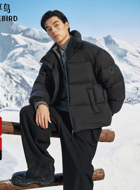 【商场同款】太平鸟男装 鹅绒面包服2025冬季新款羽绒服B1ACF4611