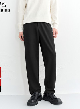 【商场同款】太平鸟男装 2025年冬季新款肌理感休闲裤B1GBF4287