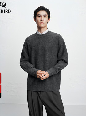 【商场同款】太平鸟男装毛衫25冬季新款圆领刺绣套头衫 B2EBF4D03