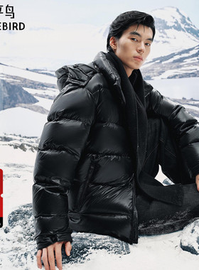 【商场同款】太平鸟男装 鹅绒面包服男黑色连帽羽绒服B1ACF4402