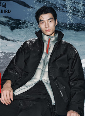 【商场同款】太平鸟男装 2025年冬季新款黑色立领羽绒服B1ACF4B31