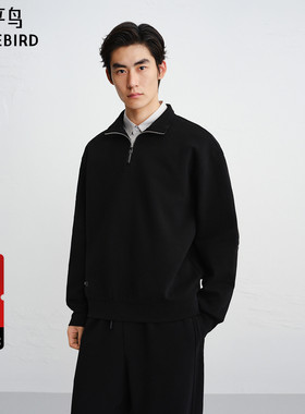 【商场同款】太平鸟男装卫衣25冬季新款翻领重磅套头衫 B1CRF440N