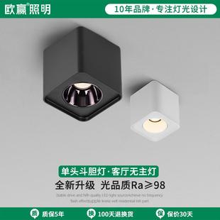防眩射灯led筒灯家用阳台单头方形吸顶无主灯具7556 欧赢照明明装