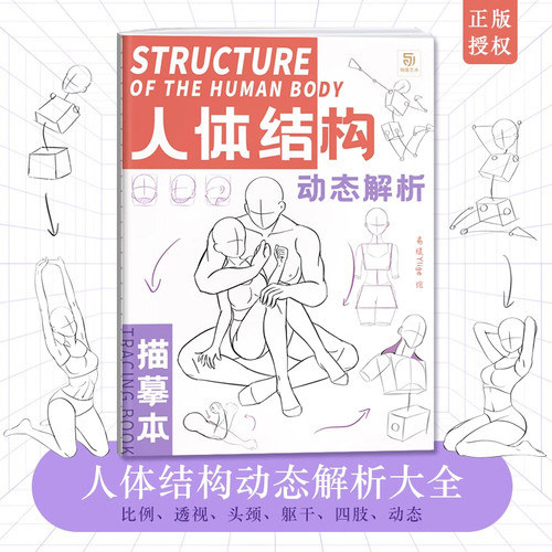 人体结构动态解析描摹本  漫画手绘本线稿草图本 速写人体临摹画册 动漫人物动态素材