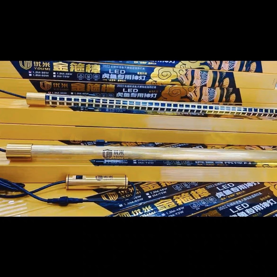 2023年长城杯虎鱼大赛御用神灯之优米虎鱼金O箍棒国潮之光增色家