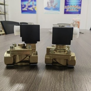 4分 6分 1寸 吹瓶机电磁阀 DC24V 3l分 高压50bar AC220V 2分