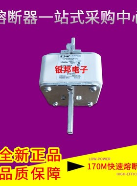 美国伊顿BUSSMANN巴斯曼 熔断器 170DM2016 170M6214 快速熔断器