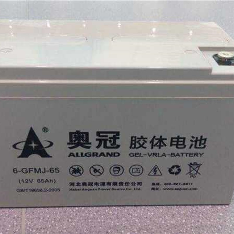 奥冠蓄电池6-GFMJ-3n8 12V38AH 40 胶体免维护UPS 光伏太阳能 路