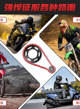 适用川崎Zephyr链轮ZR550 ZR400C EX500 GPZ500大小牙盘链轮套链