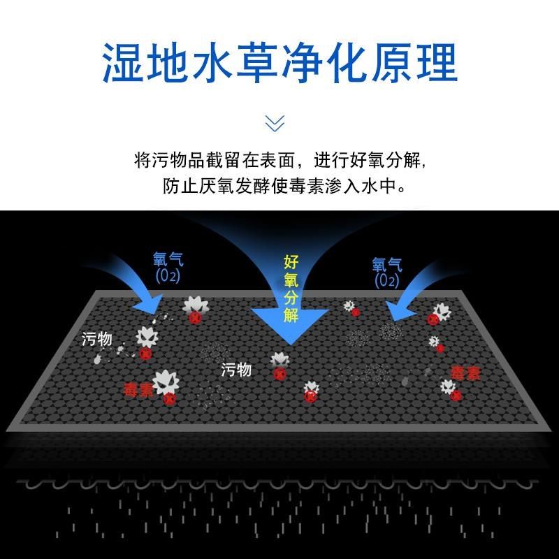 毛草地水族f箱鱼缸过滤棉滤材料魔毯生化棉加厚高密度净化净水,宠物/宠物食品及用品,过滤材料,淘宝优惠券,粉丝福利购,淘宝优惠卷