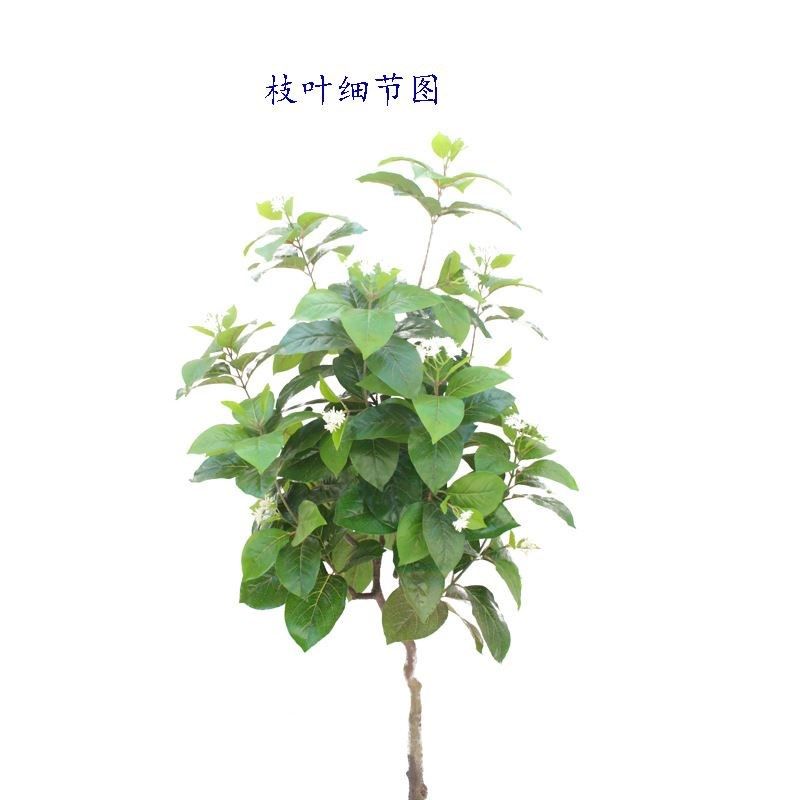 仿真植物香果树绿植盆栽香叶子香油果树M客厅家居摆放拍摄厂家,搬运/仓储/物流设备,电梯/传菜机/升降机/提升机,淘宝优惠券,粉丝福利购,淘宝优惠卷