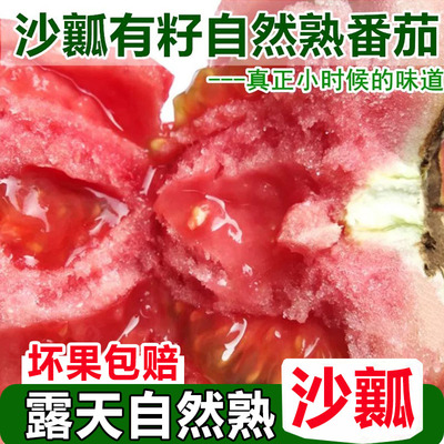新鲜西红柿普罗旺斯水果番茄自然熟沙瓤蕃茄可生吃的当季蔬菜整箱