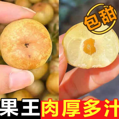 应季水果新鲜采摘崩坎甜油甘油甘果当季农家水果榨汁油柑清甜回甘