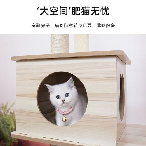 大型藤猫窝猫树猫咪架子不占地一体H大型猫爬架太空舱宠物用品