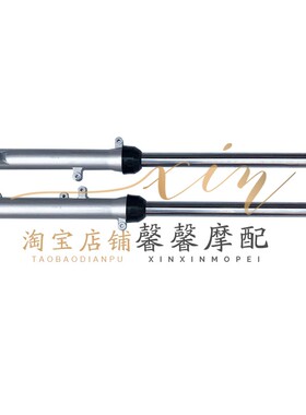 隆鑫劲隆摩托车配件 途悦150-52 新劲领150M-51D前减震器 前减震
