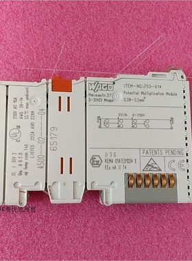 wago 750-61r4potential multipli