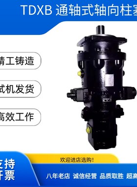济南镇海通轴式轴向柱塞泵TDXB40/50/63F/80/100N/NH/NP液压变量