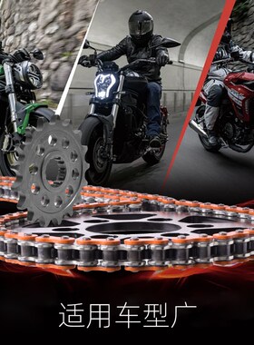 适用川崎KLV1000 04-06摩托车改装大小N齿链轮油封链条套链三件套