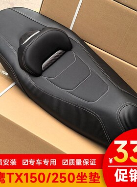 适用天鹰TX250力帆蓝鲟林海L-MAX150降低坐垫改T装件腰靠座垫总成