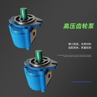 1016 1012 1020 1025 B1F CBK1004高压1006齿轮泵1008 A1FLZ 1010