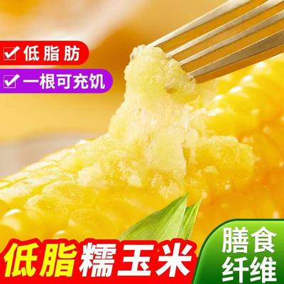 玉米新鲜糯玉米即食减脂͌期代餐主食饱腹食品嘎嘎香的东北糯玉米