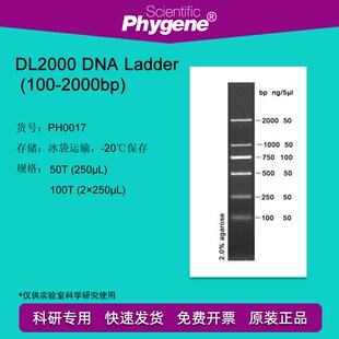 Ladder DNA 100 2000bp Marker PH0017 100T DfL2000