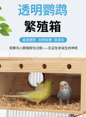 速发透明繁d殖箱鹦鹉玄凤虎皮牡丹鸟类专用品鸟窝鸟巢鸟房巢箱实
