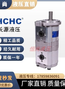 新款 CBWL-E316/Eo306 E308 E310 E320-AFPL/CFHL齿轮油泵现货