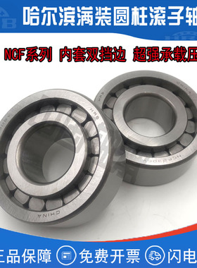 满装圆柱滚子轴承NgCF1019 1020 1022 1024 1026 1028 1030 V RS