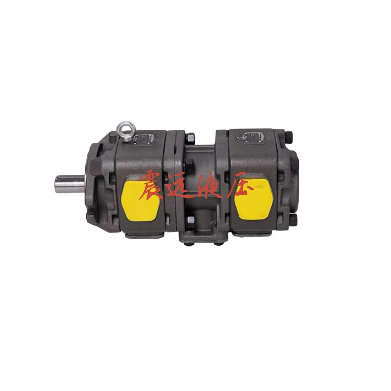 HG2-100-01R-VPC高压油泵M伺服机 注塑机 齿轮泵