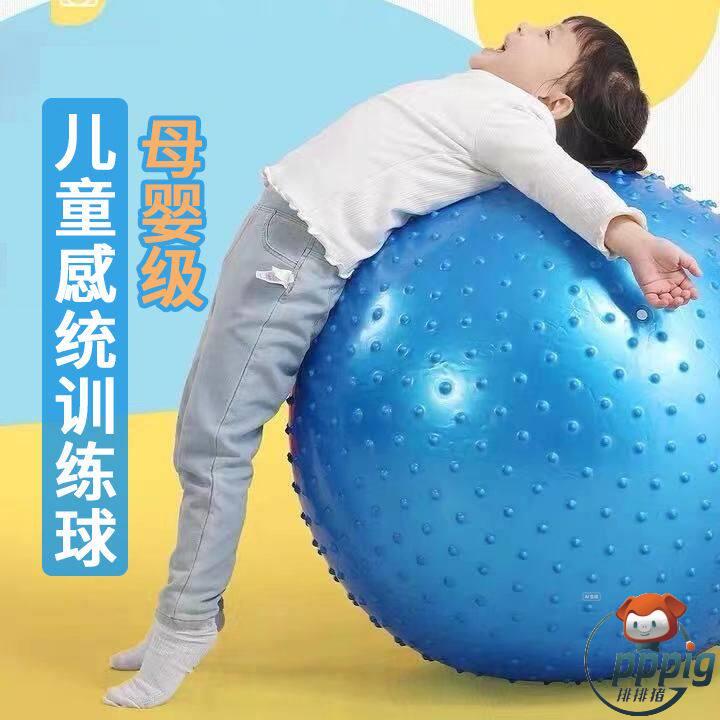 早教大龙球儿童前庭感觉统合训练器材幼儿园平衡触觉瑜伽家用按摩