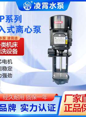 凌霄液下泵LCP2-180TLCP4-250T数控机床泵冷却液离心泵
