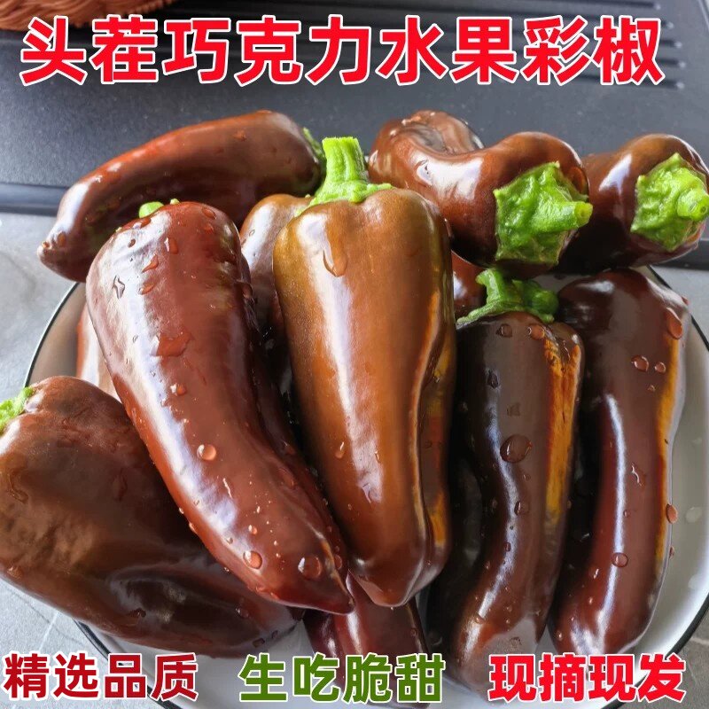 现摘巧克力迷你水果彩椒当季新鲜五彩辣椒生吃脆甜不辣黑紫色甜椒