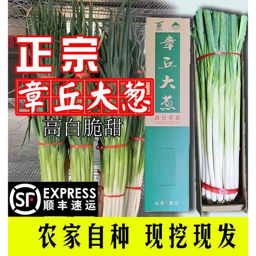顺丰正宗山东章丘铁杆大葱精品新鲜5斤生吃甜葱脆口礼盒产地直发