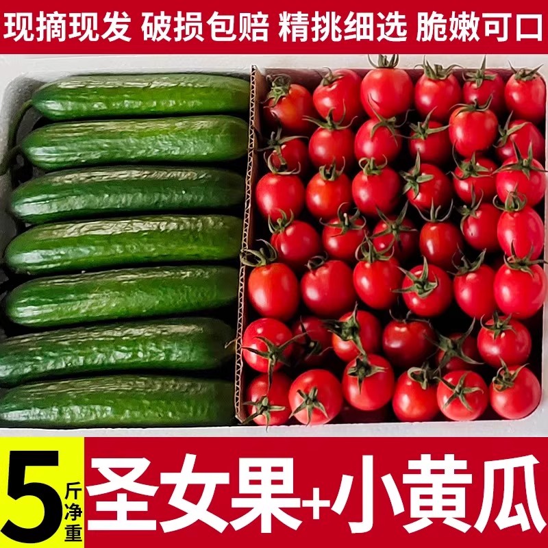 水果黄瓜圣女果组合小番茄西红柿