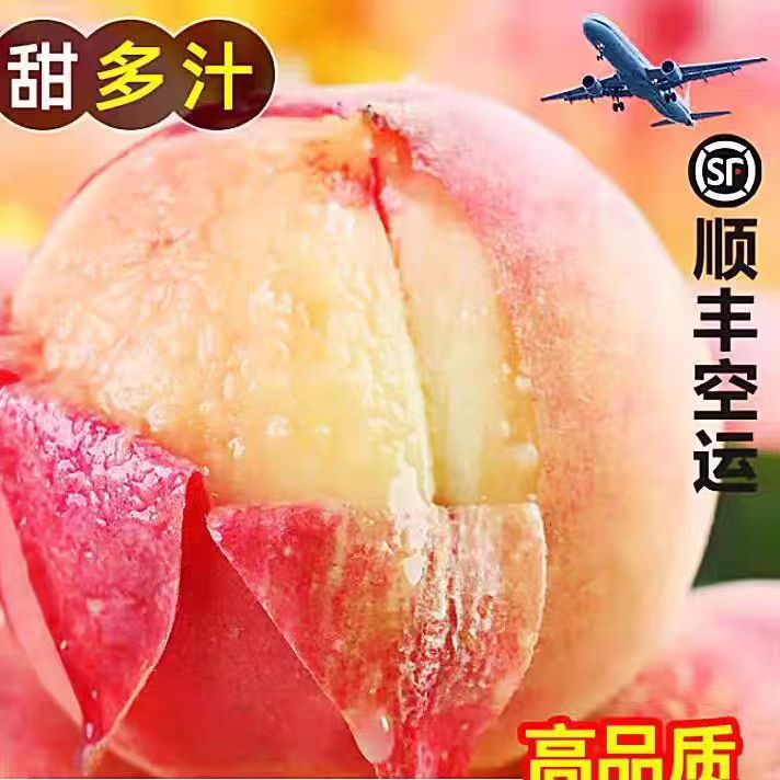 顺丰四川成都龙泉驿水蜜桃桃子新鲜应季水果可撕皮现摘五月鲜桃
