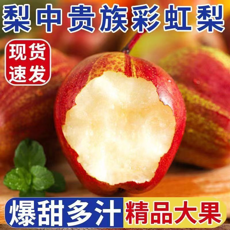 陕西彩虹梨新鲜水果应季5斤整箱酥脆香甜皮薄红香梨酥梨蜜梨红梨