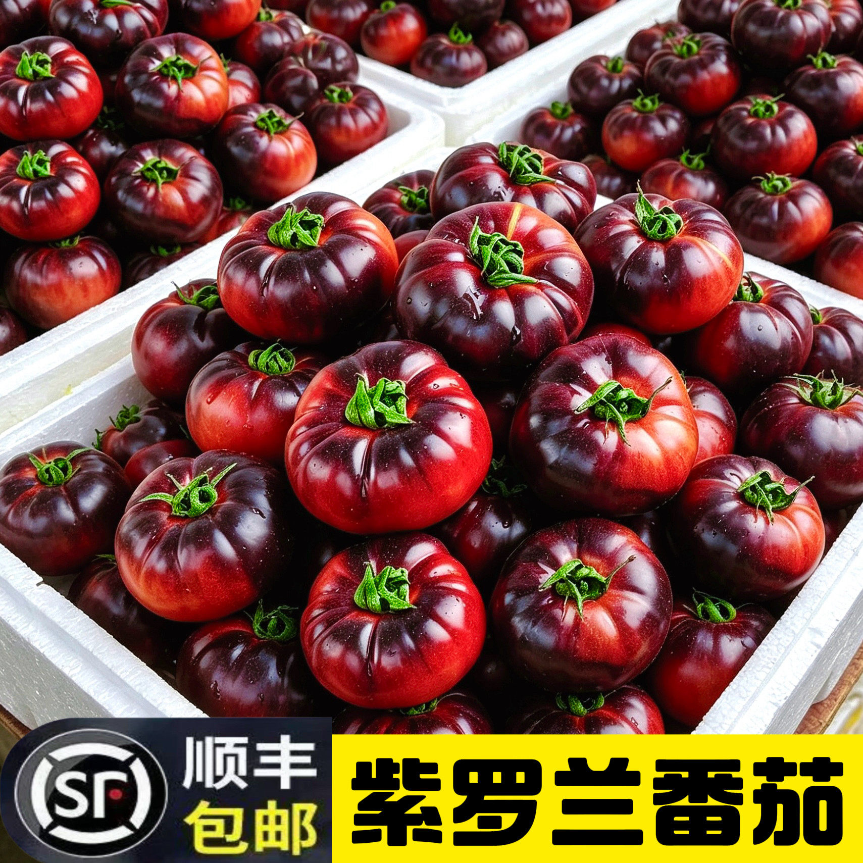顺丰山东紫罗兰番茄丑马蹄紫元帅沙瓤西红柿火山番现摘新鲜大番茄