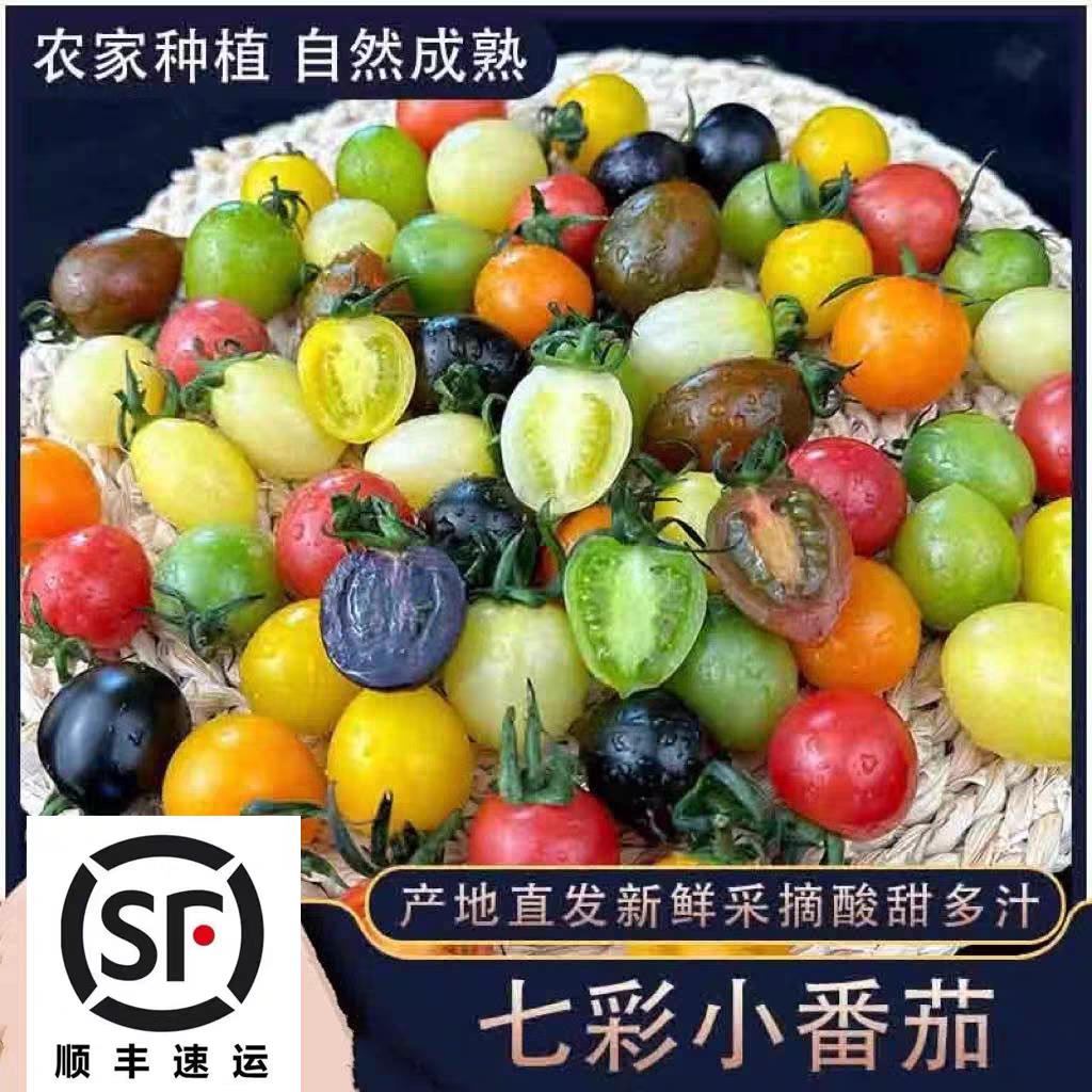顺丰新鲜彩色小番茄圣女果