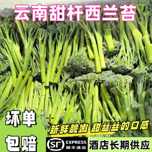 顺丰冷链云南甜杆西兰苔新鲜脆嫩