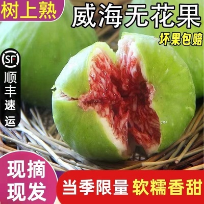 山东威海特产新鲜青皮无花